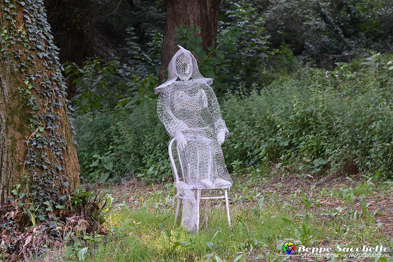 VBS_4893 - Il bosco fatato - Montaldo Roero.jpg